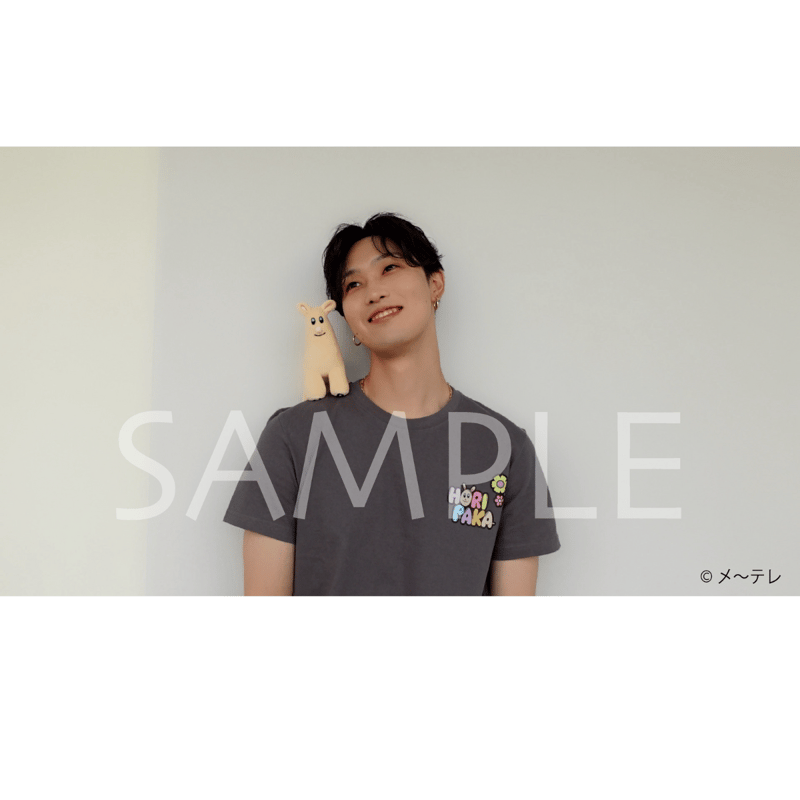 堀夏喜 ホリパカ グッズ 販売終了】ホリパカ全部セット🐏 | ホリナツのカンムリ（仮