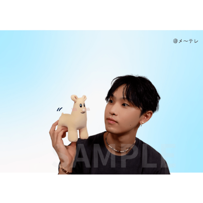 立体ホリパカぬいぐるみ | ホリナツのカンムリ（仮）グッズストア