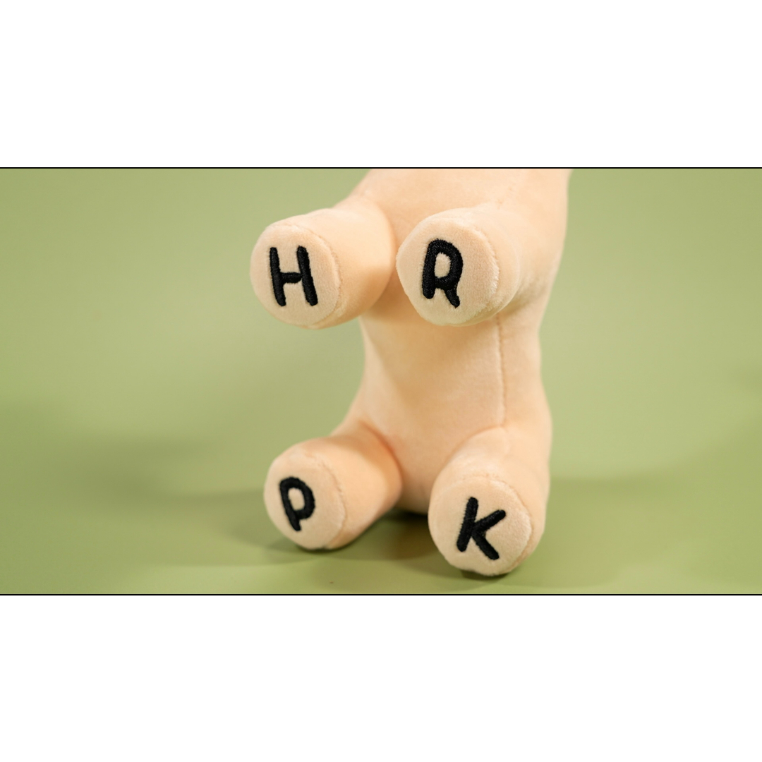 立体ホリパカぬいぐるみ | ホリナツのカンムリ（仮）グッズストア