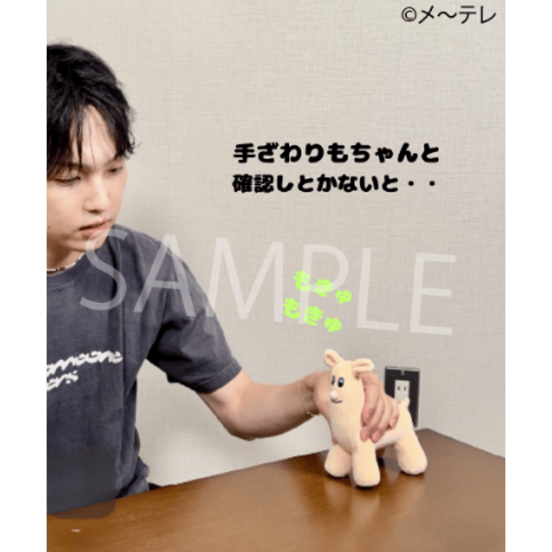 立体ホリパカぬいぐるみ | ホリナツのカンムリ（仮）グッズストア