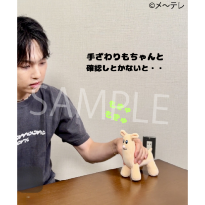 立体ホリパカぬいぐるみ | ホリナツのカンムリ（仮）グッズストア