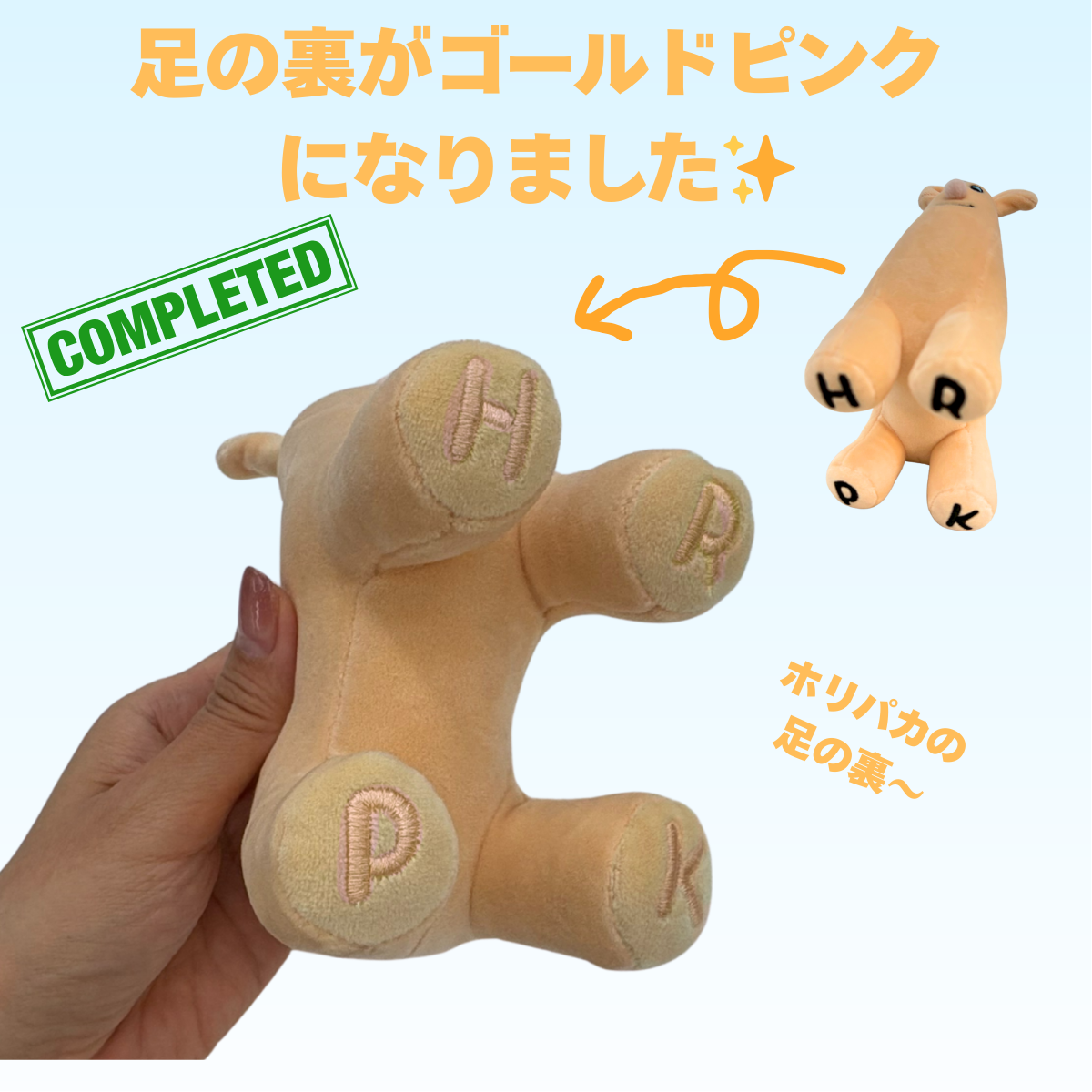 立体ホリパカぬいぐるみ | ホリナツのカンムリ（仮）グッズストア
