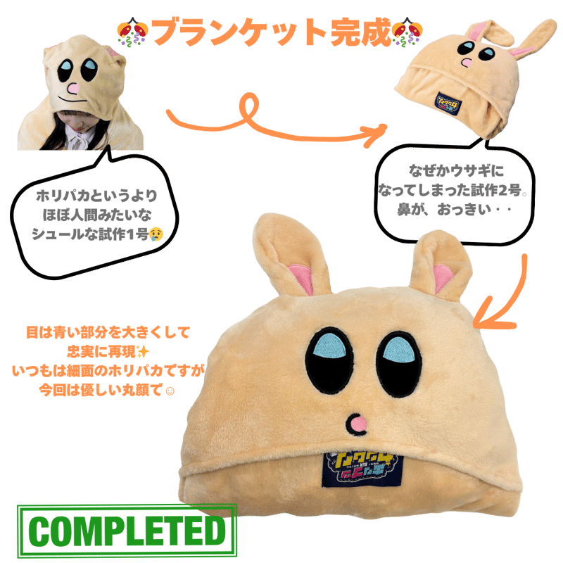 ホリパカフード付きブランケット | ホリナツのカンムリ（仮