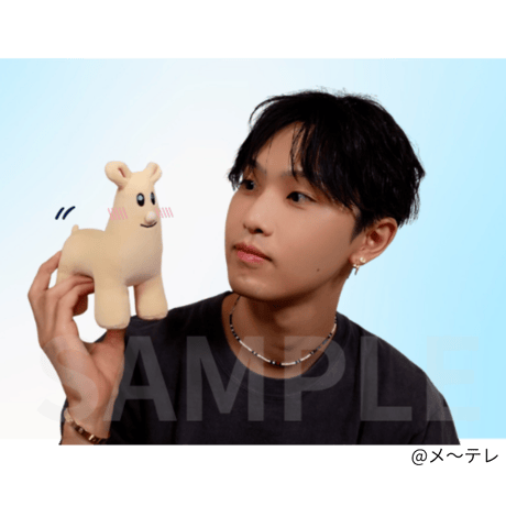 ちびぬいホリパカキーホルダー ちびぬいホリパカキーホルダー①