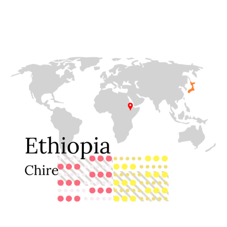 【浅煎り】エチオピア（アフリカ）／Chire／200g