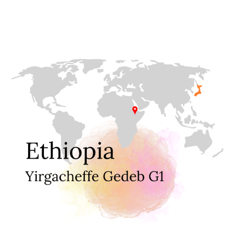 【中煎り】エチオピア（アフリカ）/イルガチェフェ ゲデブ G1/100g