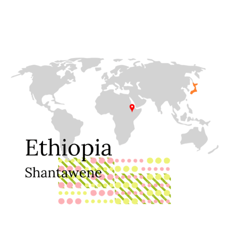 【浅煎り】エチオピア（アフリカ）／Shantawene／300g