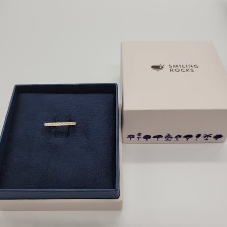 【オーダー品】Essentials micropave band
