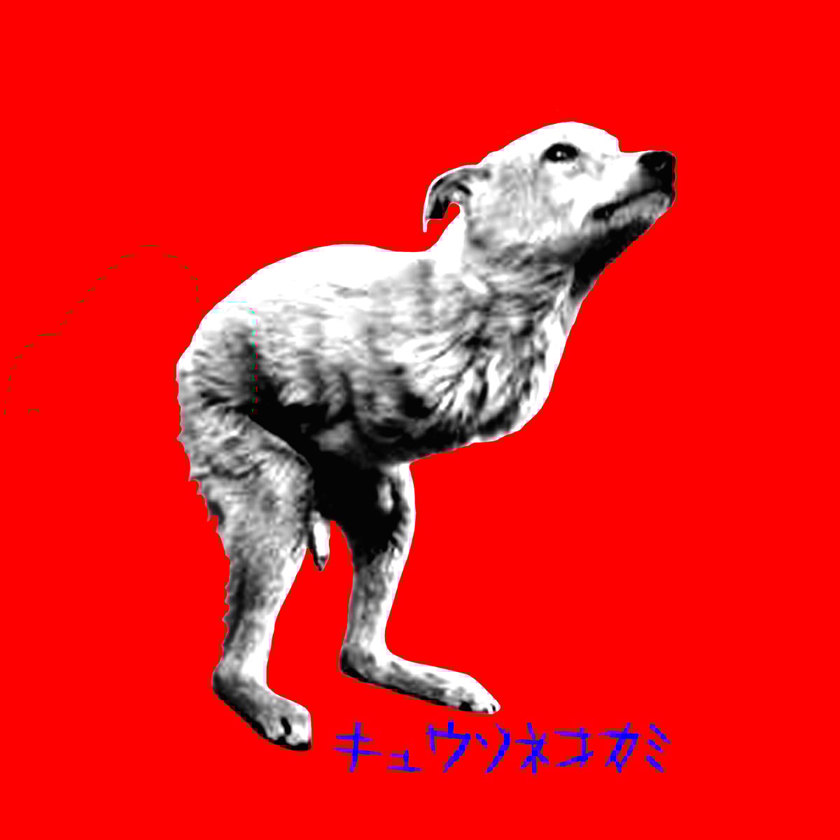 レア見本盤minmiレコード2枚セットSouth Orange、nujabes他 Izumi Kobayashi & Flying Mimi Band – Orange Sky - Endless