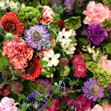 CHERRY akikonishimura_flowerclub