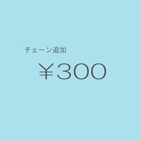 チェーン追加 ￥300/1cm