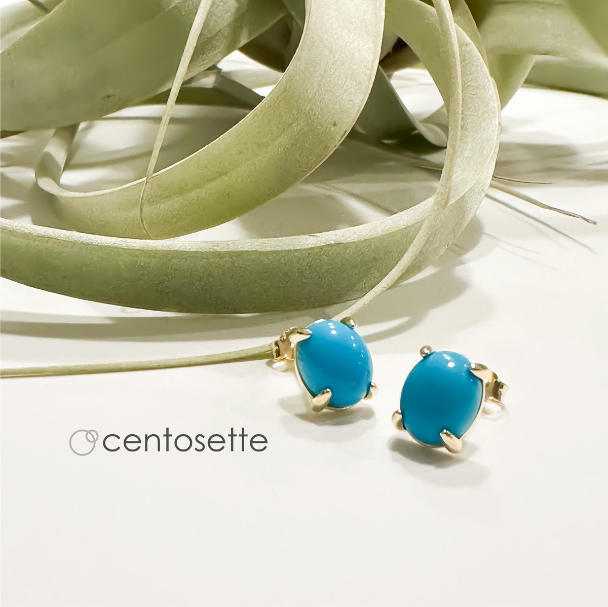 スリーピングビューティターコイズLサイズの4本爪シンプルSV925