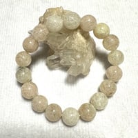 ホワイトスノールチル