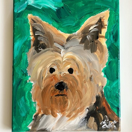 ヨークシャテリア | STORES