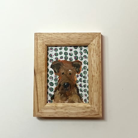 エアデールテリア | STORES