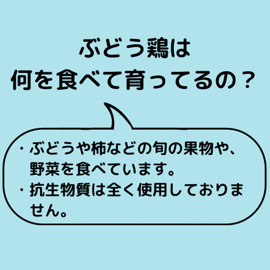6524b3757dd1ee0036943ef8