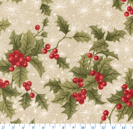 A Christmas Carol 44352-12