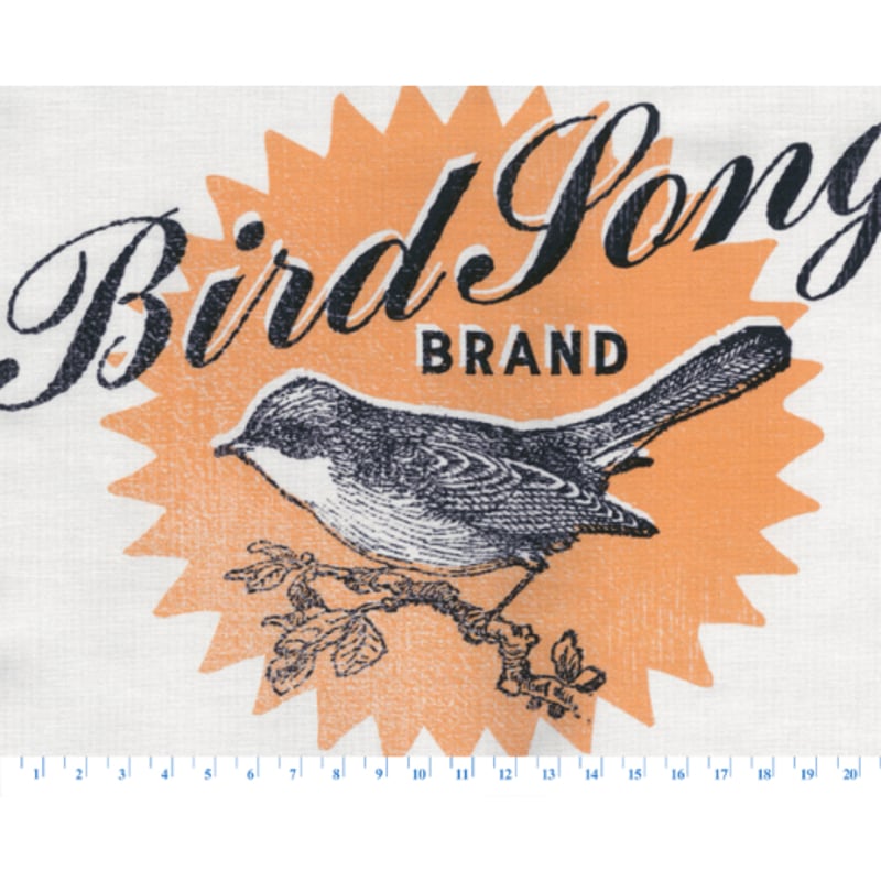 りんりん様ページ　ハンドメイド　パネル　生地 ≪柄売り≫コットンシーチングプリント生地 Cheery Days ソーイング