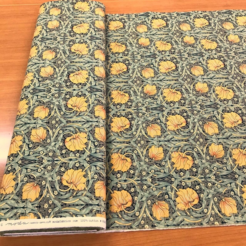 Best Of Morris 2021 / 8365-11 ピンパーネル | ぱいなオンライン