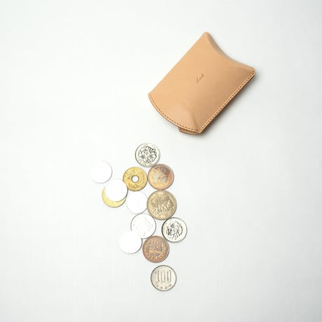 case for coins