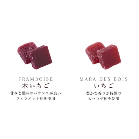パットドゥフリュイ10個入