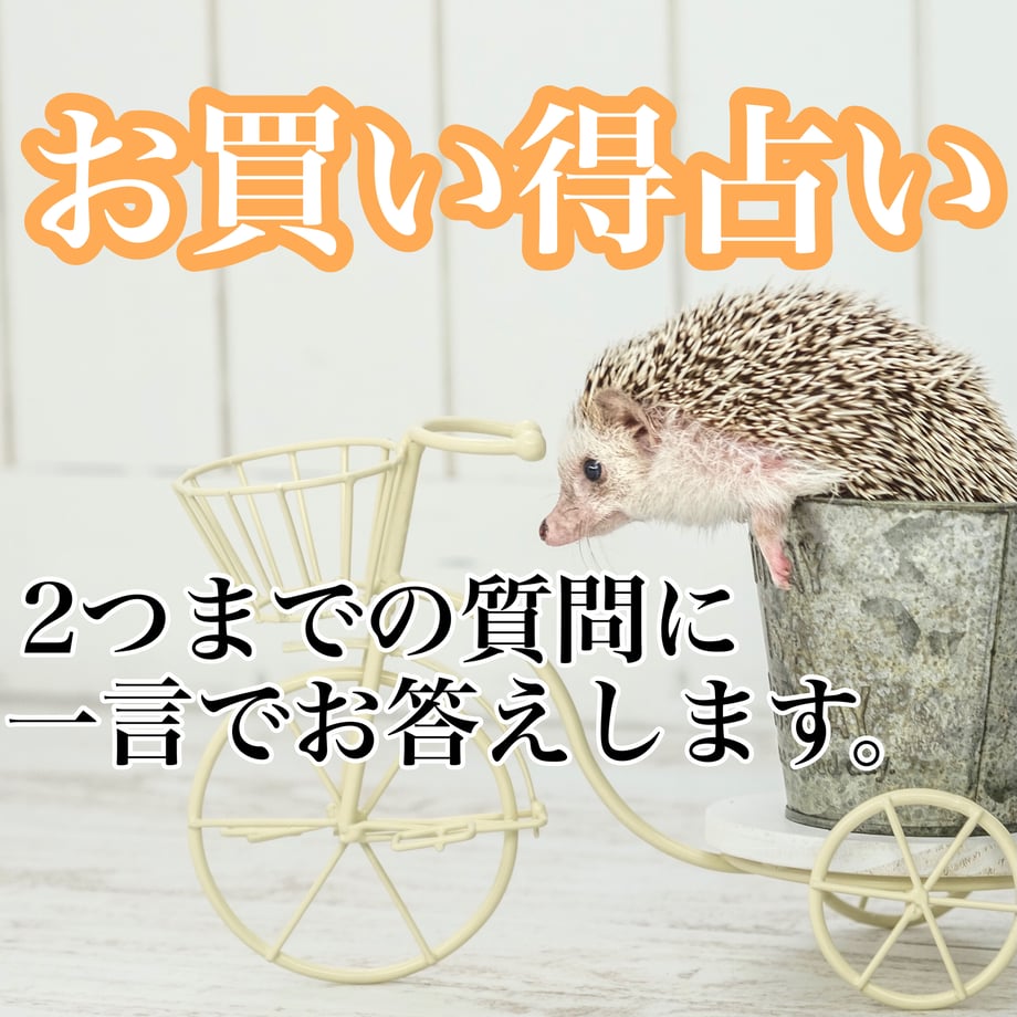 615ec08fedf49f714ebdf45f
