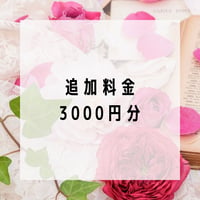 追加用 3000円