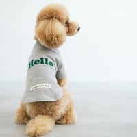 オーガニックコットン Hello TシャツTopGray(トップグレー）