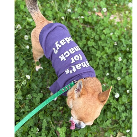 裏毛　スエット　Purple  x   Light Beigeフロッキープリント