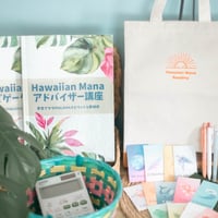 即納⭐︎Hawaiian ManaオリジナルA4バック