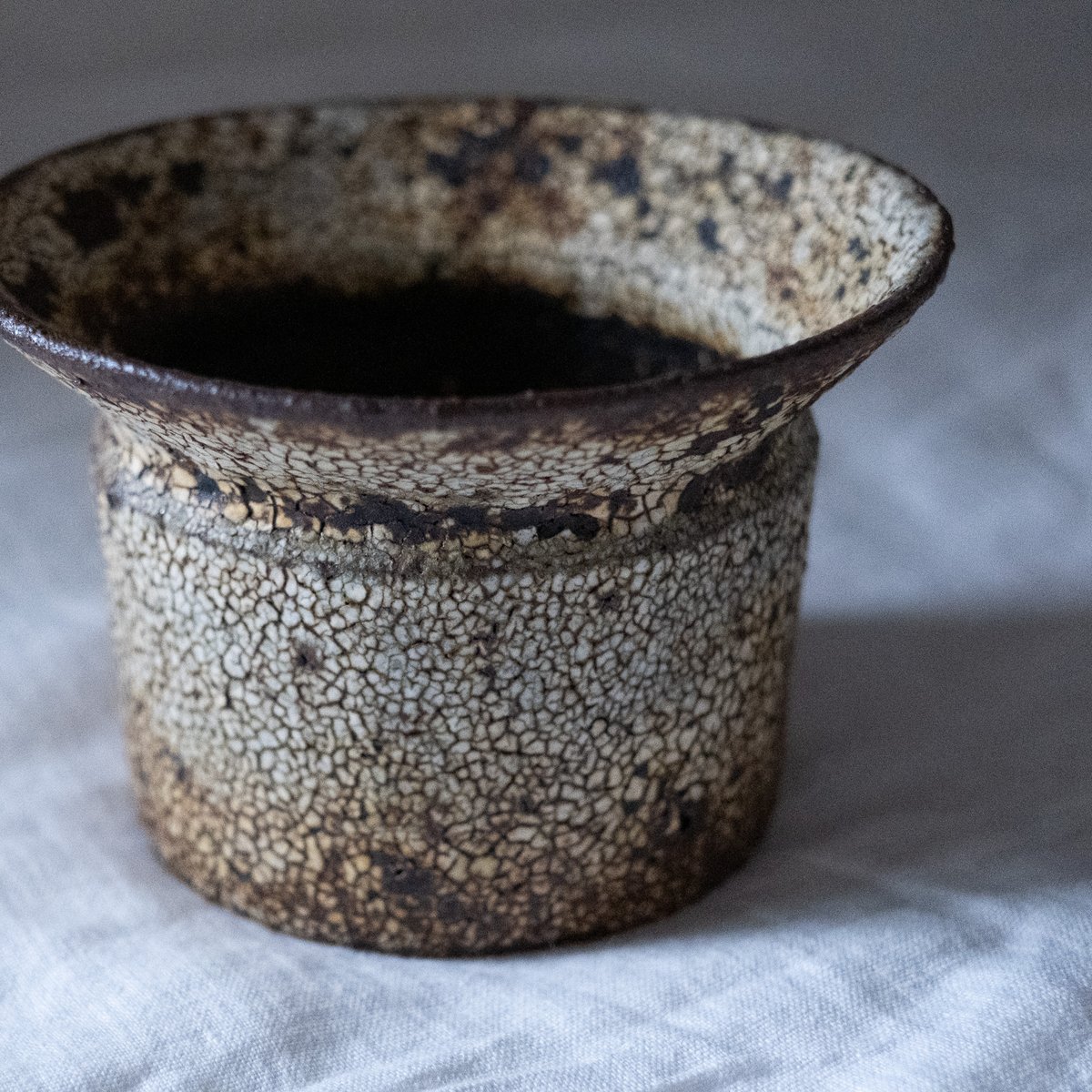 鉢（山下太／阿蘇坊窯 50） | Plants・Cycle