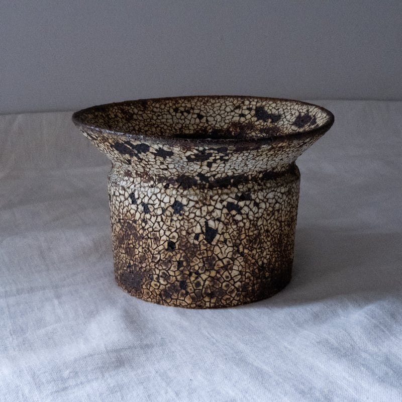 鉢（山下太／阿蘇坊窯 50） | Plants・Cycle