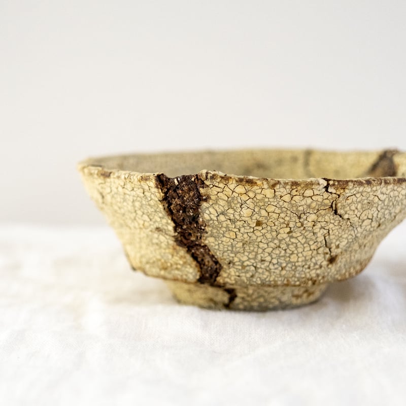 阿蘇坊窯　中鉢 鉢（山下太／阿蘇坊窯 31） | Plants・Cycle