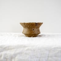 阿蘇坊窯　中鉢 鉢（山下太／阿蘇坊窯 30） | Plants・Cycle