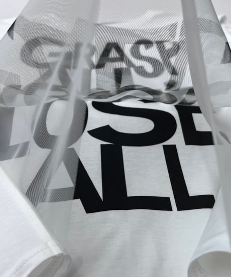 【R2601-MLC977】 Mesh T-shirt (1741077）