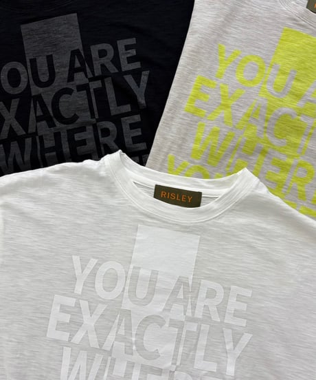 【R2501-BLT843】Big logo t-shirt（1740947）
