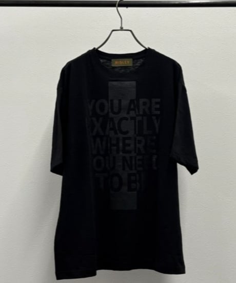 【R2501-BLT843】Big logo t-shirt（1740947）