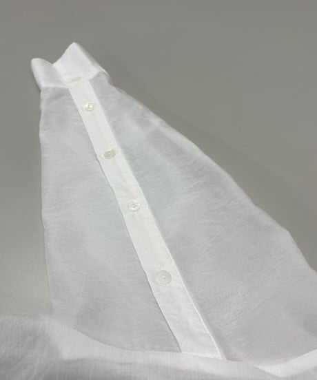 【R2501-SBL796】Sheer blouse (1740928)