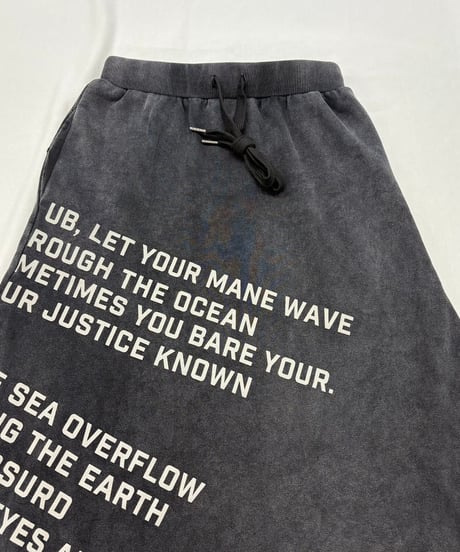 【R2503-LFS860】 Logo flared skirt (1740966）
