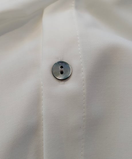 【R2401-FBL631】Flare blouse (1740725)