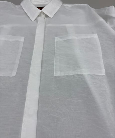 【R2501-SBL796】Sheer blouse (1740928)