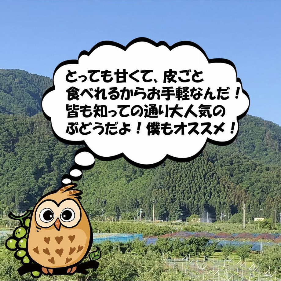 61376a248c1a5b4520842c10