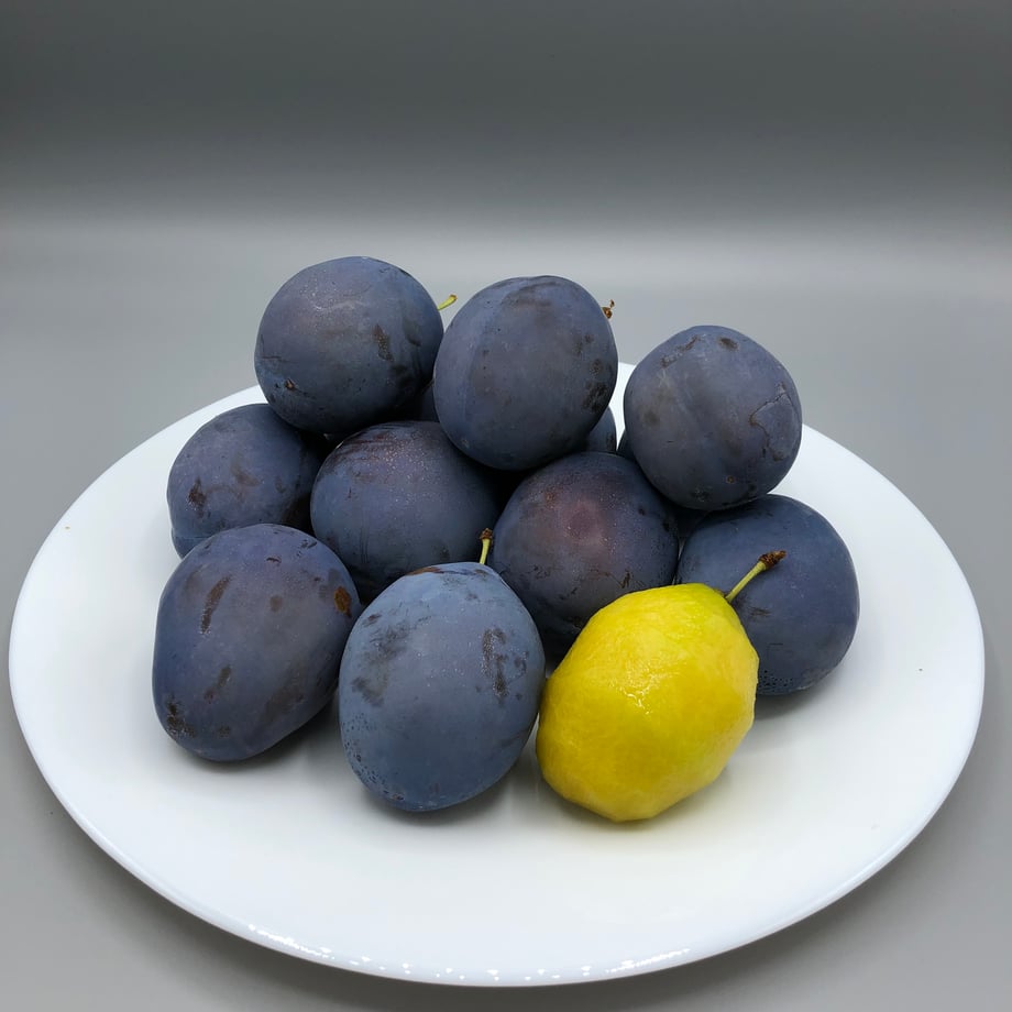 6743171c6005374631381b9a