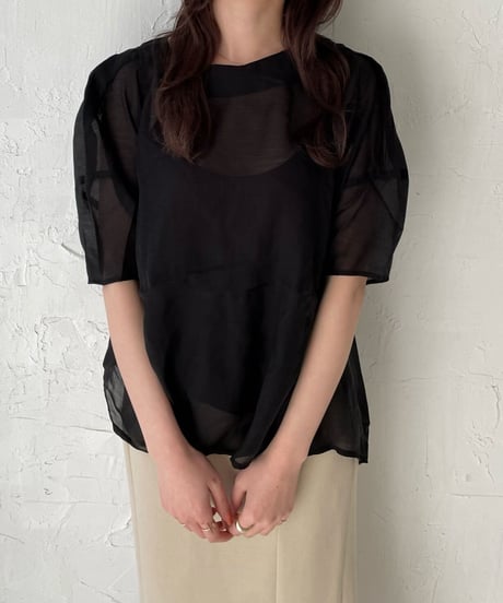 Puff sleeve sheer blouse