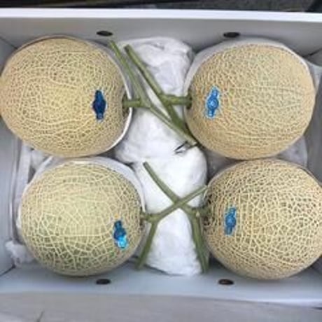 最高級の輝き。「熱甘アールスメロン2玉」贅沢しずおかブランド（化粧箱入り）