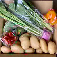 お買い得！新じゃが（2ｋｇ）と採りたて野菜（5品）セット！