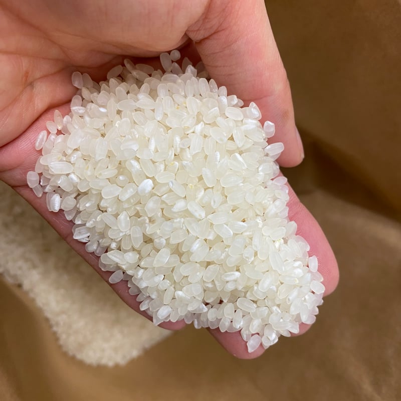 令和6年　虹のきらめき　玄米　30kg 楽天市場】【令和6年産】【送料無料】滋賀県産にじのきらめき