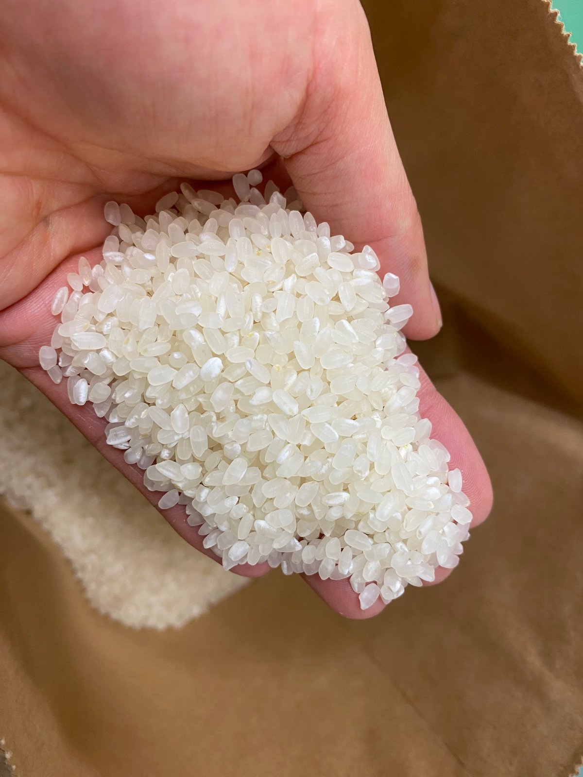 たらちゃん◇にじのきらめき白米20kg たらちゃん様専用♦︎にじのきらめき白米20kg