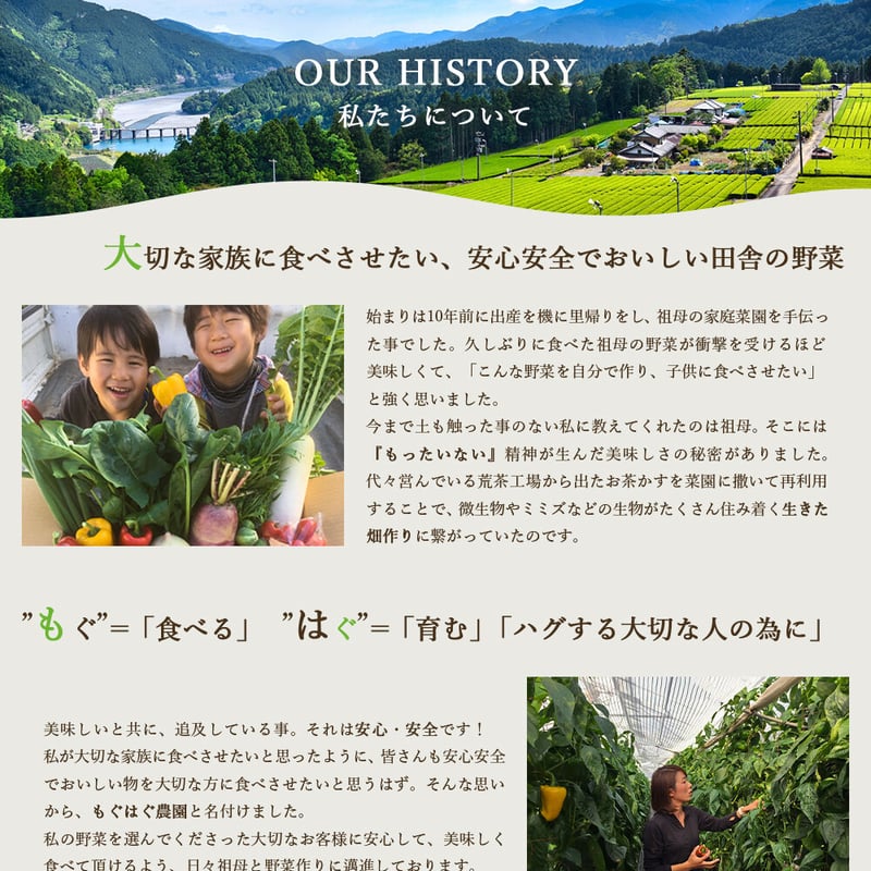 採れたて!野菜セット C 12品 | もぐはぐ農園 採れたて!野菜セット C 12品 | もぐはぐ農園