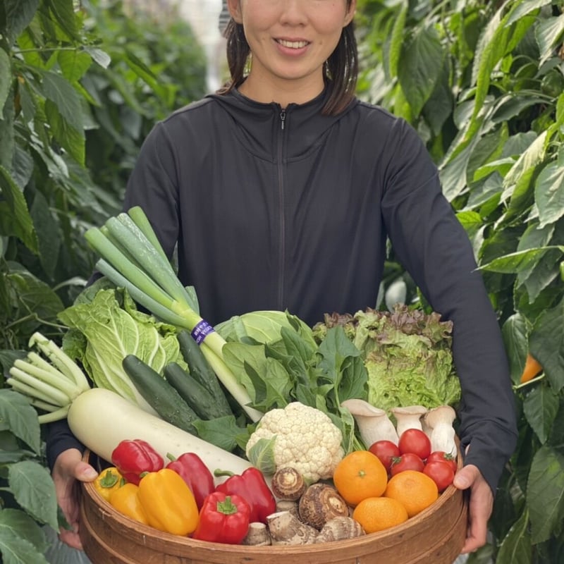 LINE友達800人記念🎁付き！】採れたて！野菜セット C 12品 | もぐはぐ農園